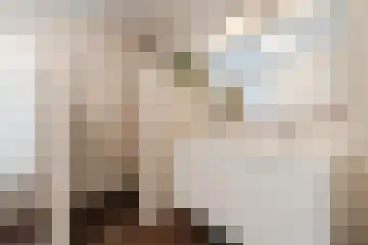 Remmerstein 18 Vleuten thumbnail 25