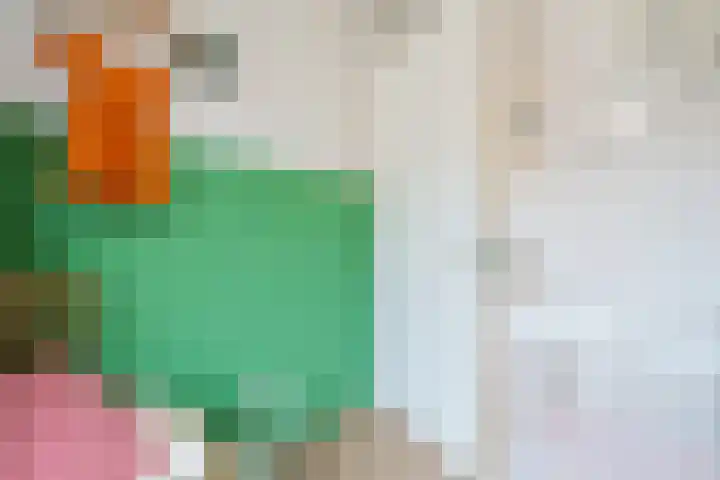 Remmerstein 18 Vleuten thumbnail 32