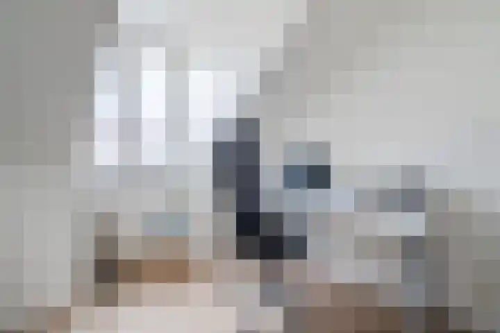 Remmerstein 18 Vleuten thumbnail 35