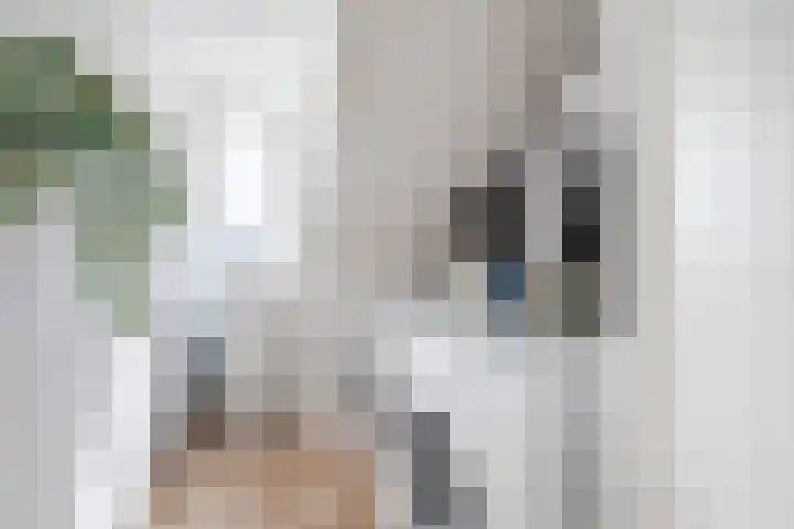 Remmerstein 18 Vleuten thumbnail 41