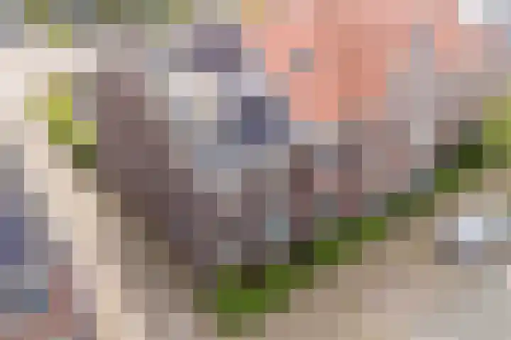 Remmerstein 18 Vleuten thumbnail 43