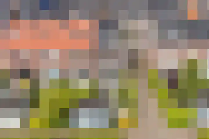 Remmerstein 18 Vleuten thumbnail 44
