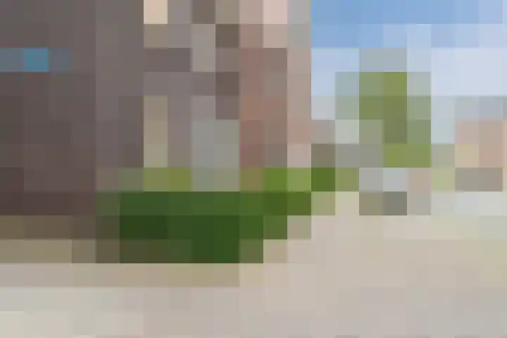Remmerstein 18 Vleuten thumbnail 48