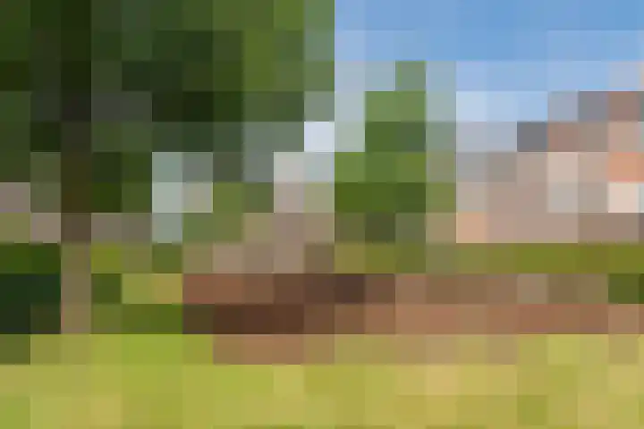 Remmerstein 18 Vleuten thumbnail 53