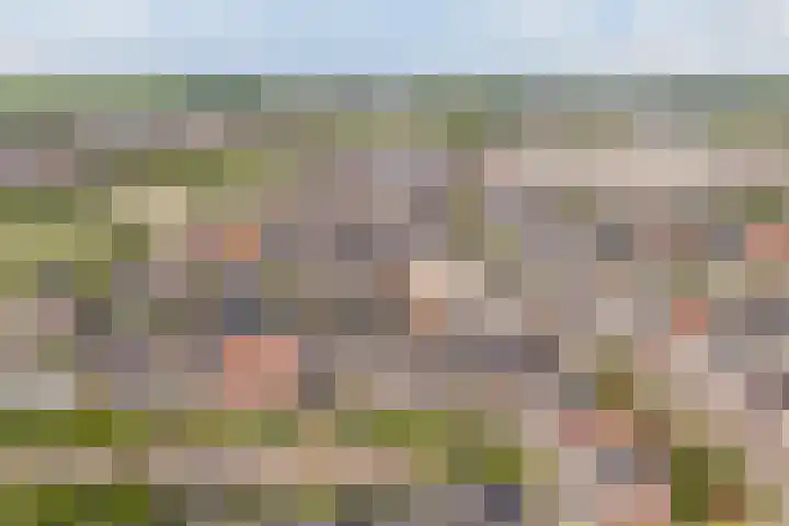 Remmerstein 18 Vleuten thumbnail 54