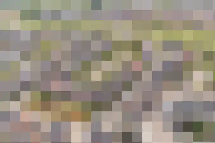 Remmerstein 18 Vleuten thumbnail 55