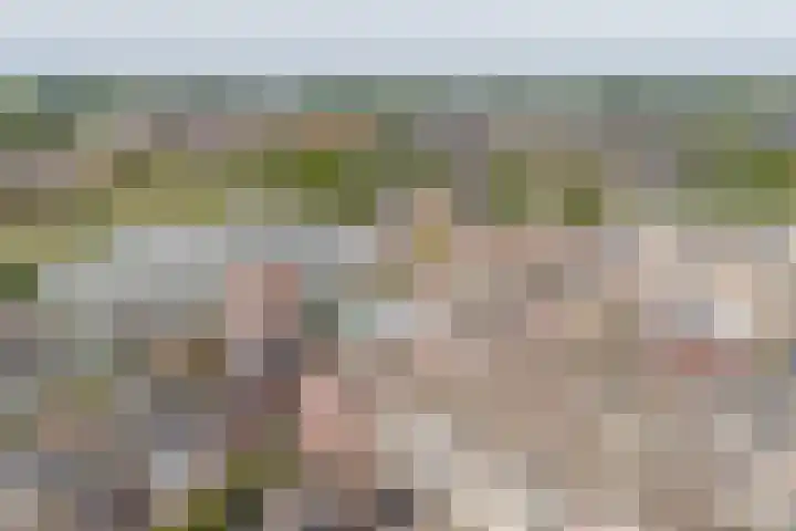 Remmerstein 18 Vleuten thumbnail 56