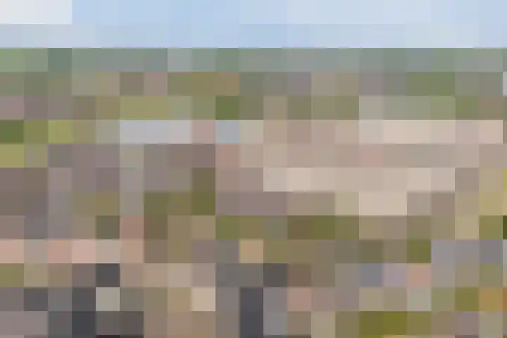 Remmerstein 18 Vleuten thumbnail 57