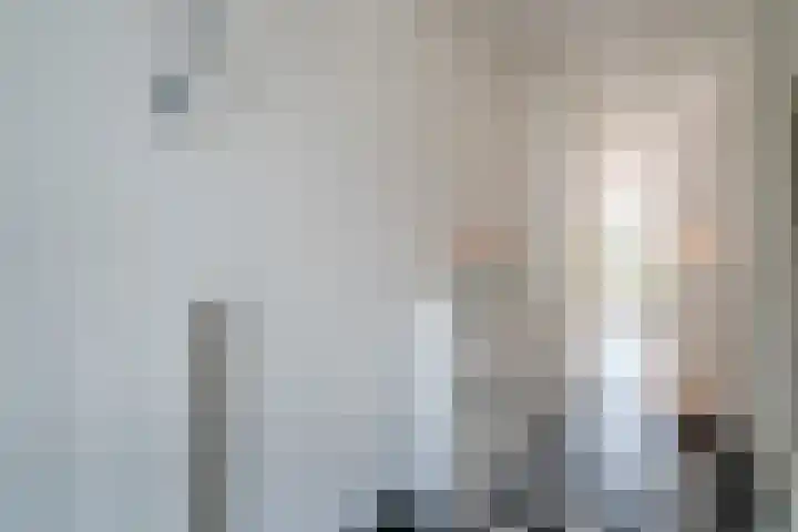 Remmerstein 18 Vleuten thumbnail 6