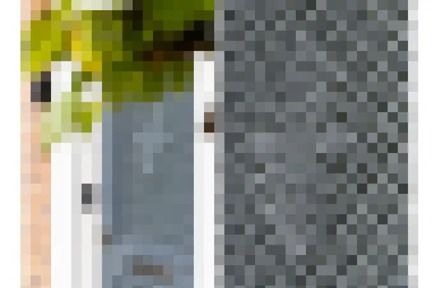 Remmerstein 39 Vleuten thumbnail 5