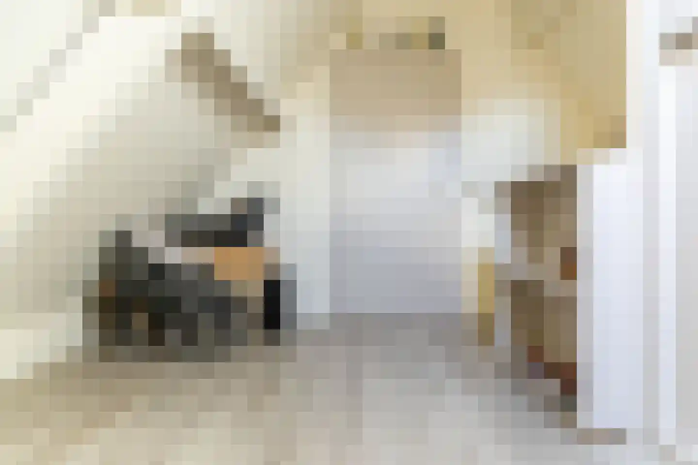 Remmerstein 39 Vleuten thumbnail 57