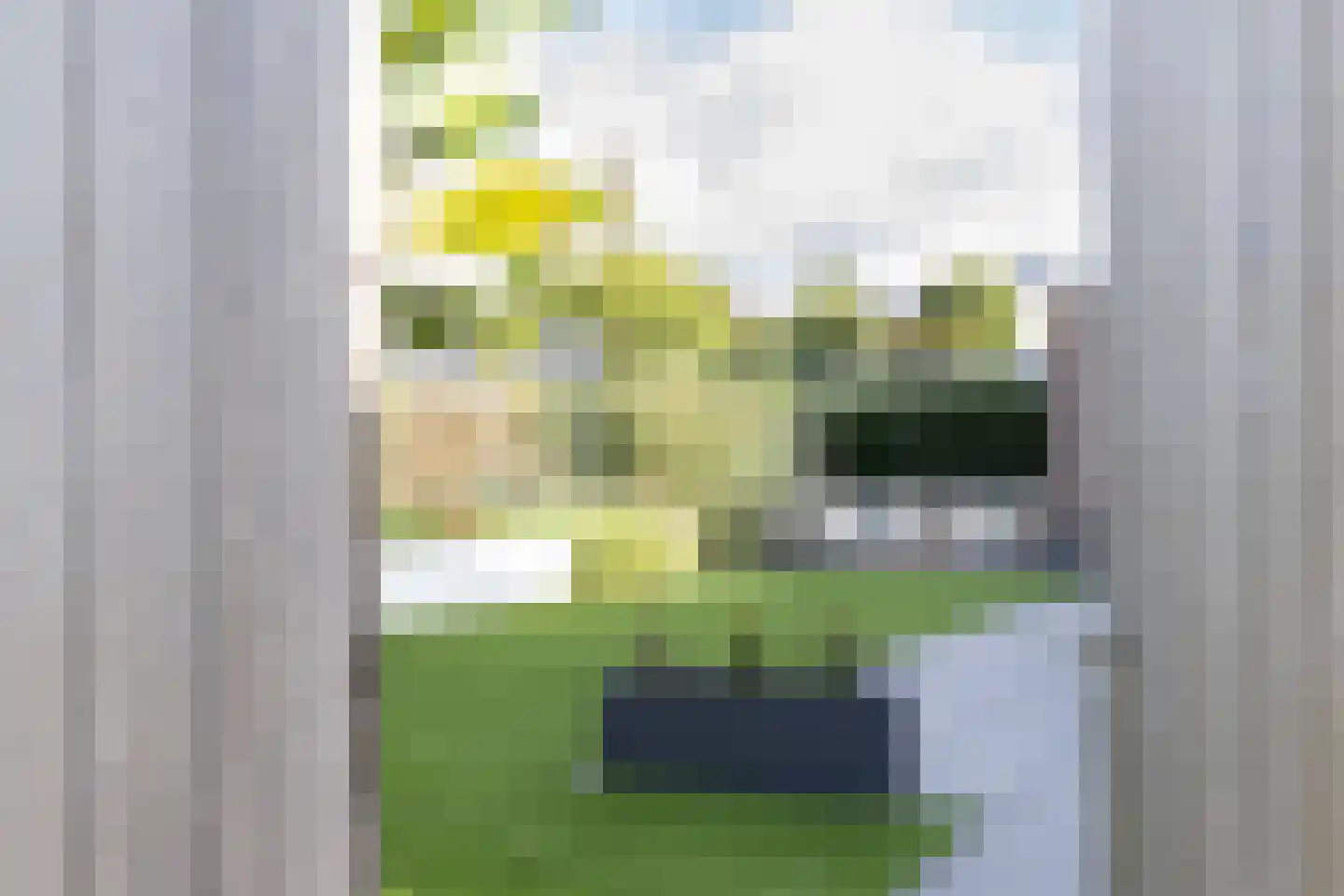 Remmerstein 39 Vleuten thumbnail 61