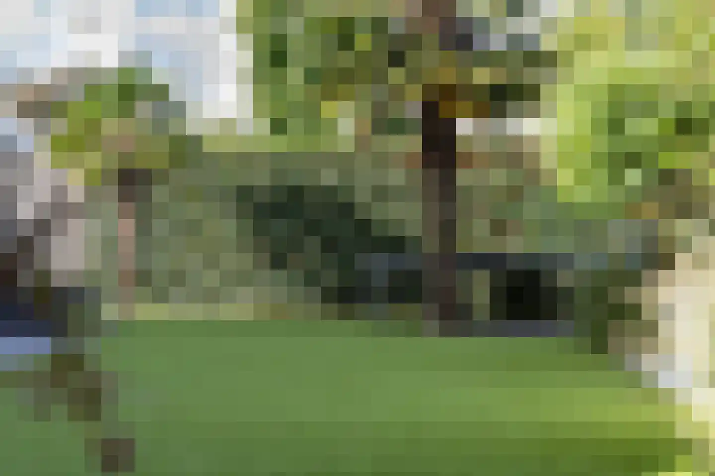 Remmerstein 39 Vleuten thumbnail 73