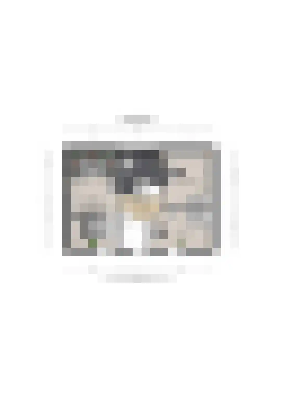 Remmerstein 39 Vleuten thumbnail 86