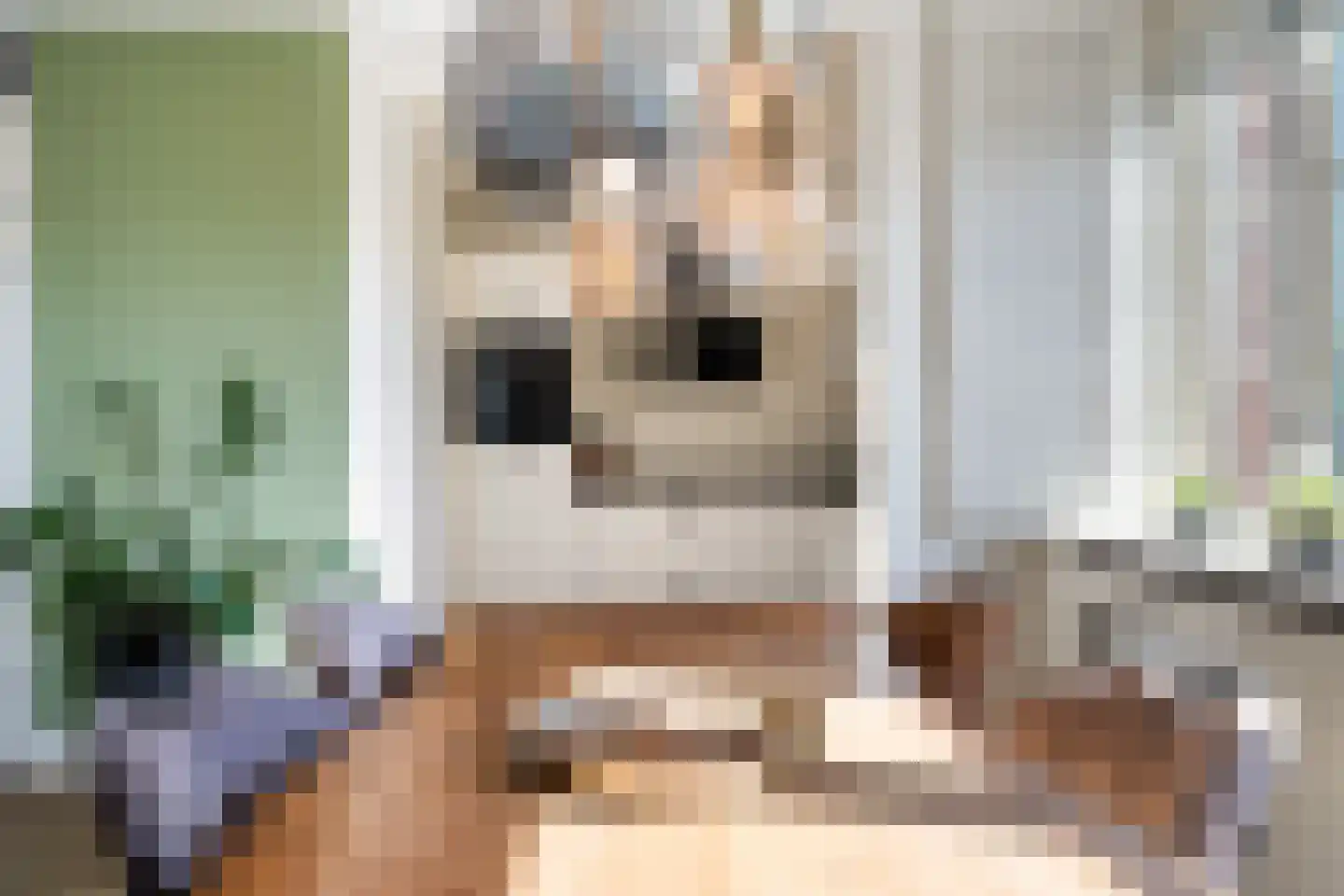 Remmerstein 4 Vleuten thumbnail 11