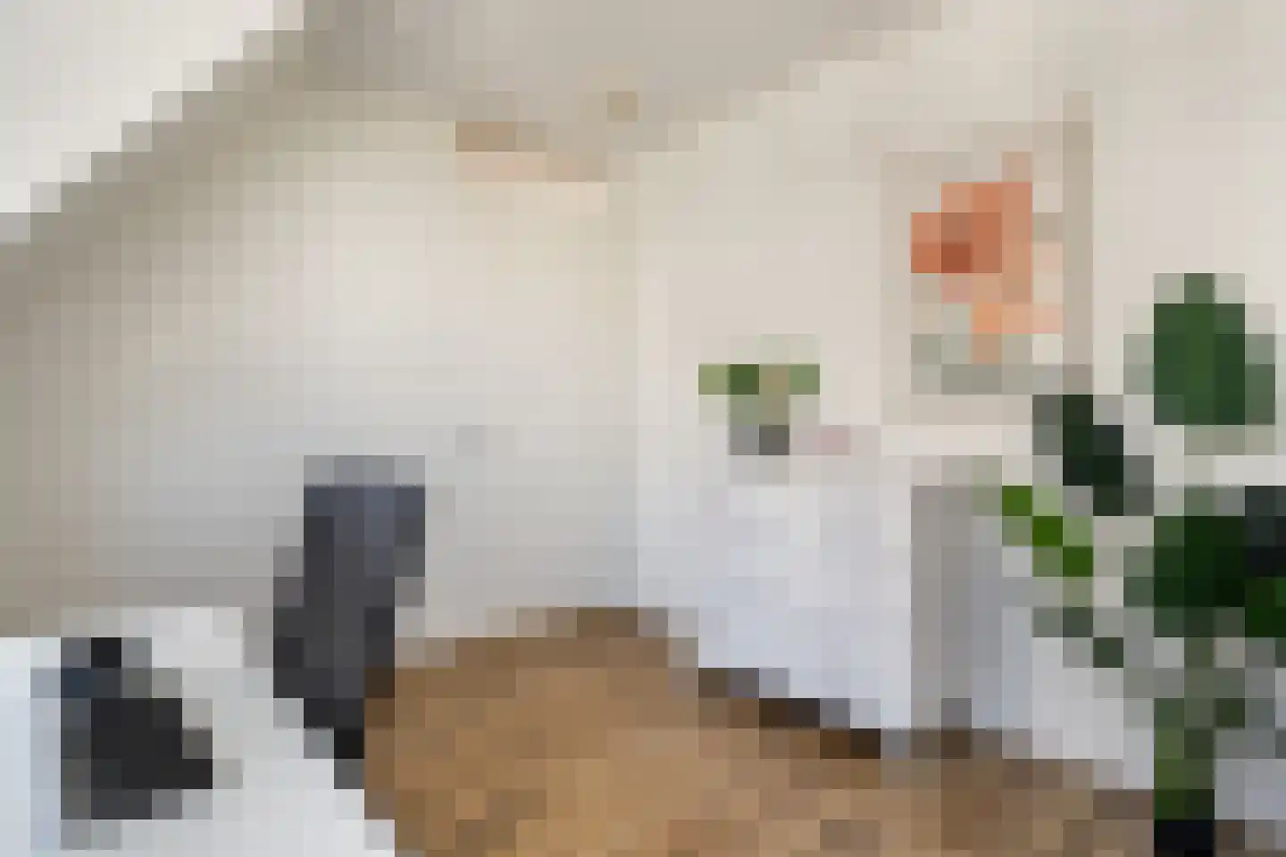 Remmerstein 4 Vleuten thumbnail 20