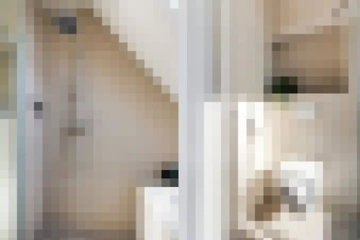 Remmerstein 4 Vleuten thumbnail 22