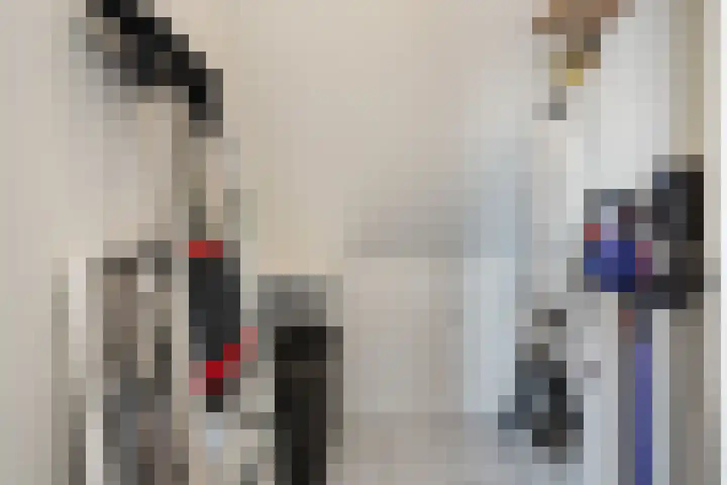 Remmerstein 4 Vleuten thumbnail 23