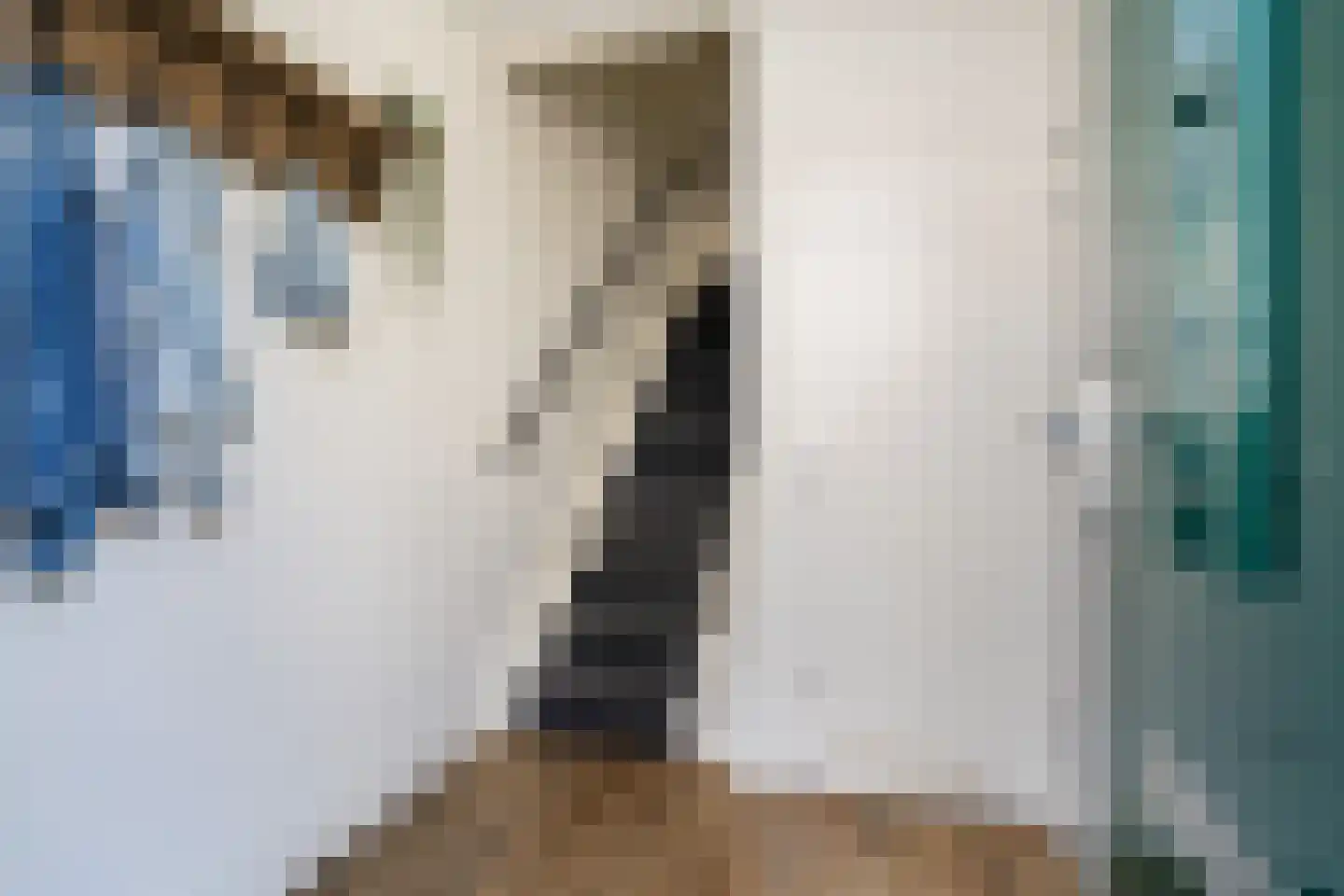 Remmerstein 4 Vleuten thumbnail 5