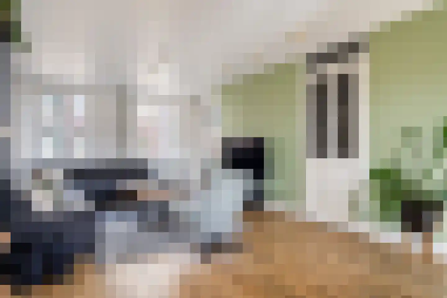 Remmerstein 4 Vleuten thumbnail 6
