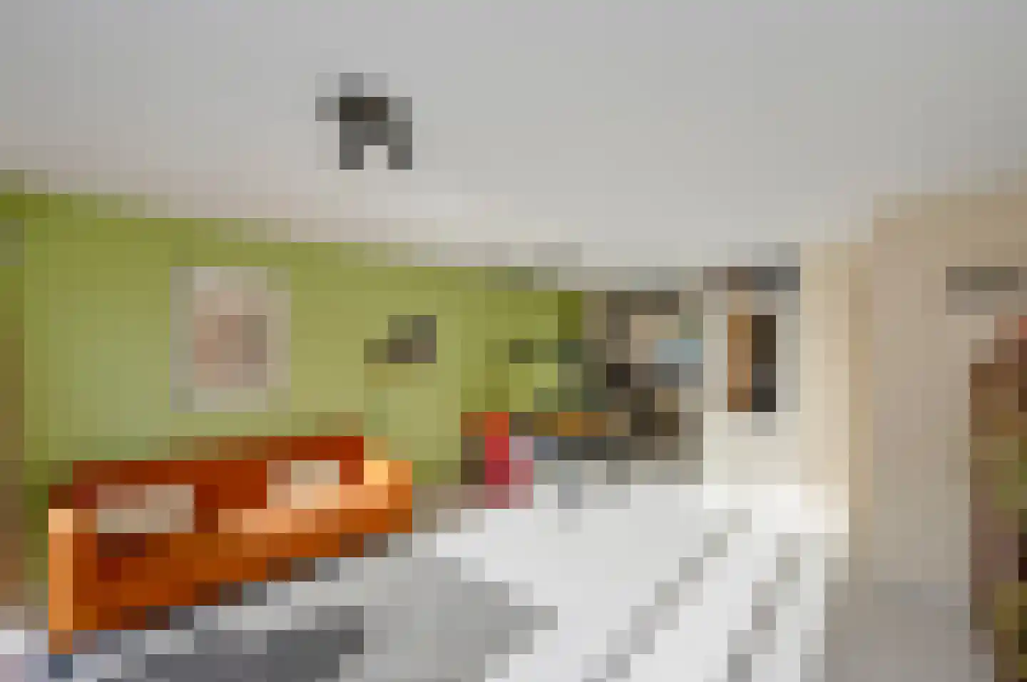 Remmersteinpad 17 Almere thumbnail 5