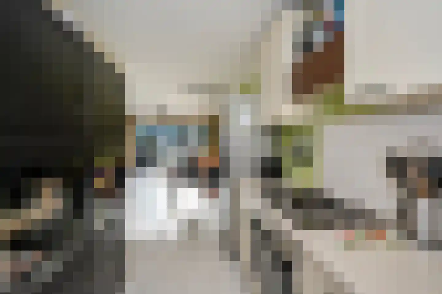 Remmersteinpad 17 Almere thumbnail 9