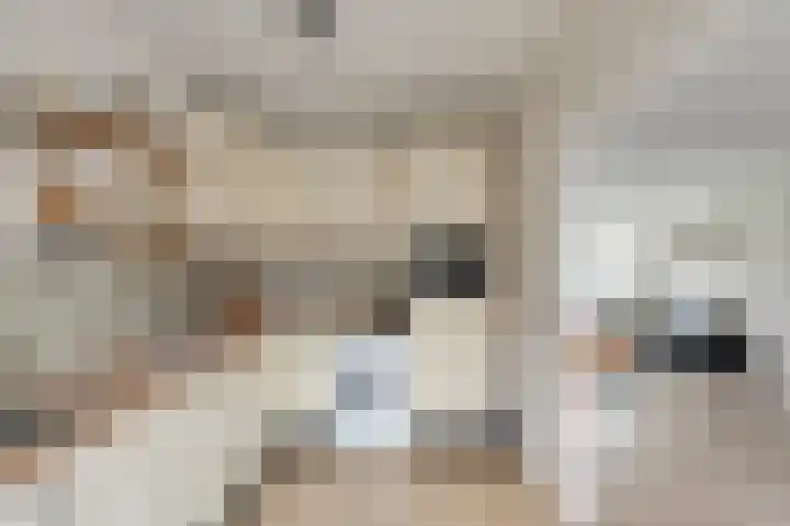 Remmersteinstraat 6 Nijmegen thumbnail 10