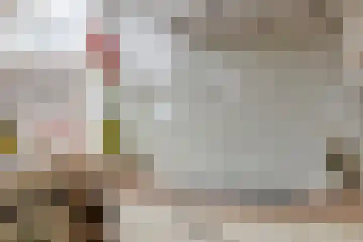 Remmersteinstraat 6 Nijmegen thumbnail 11