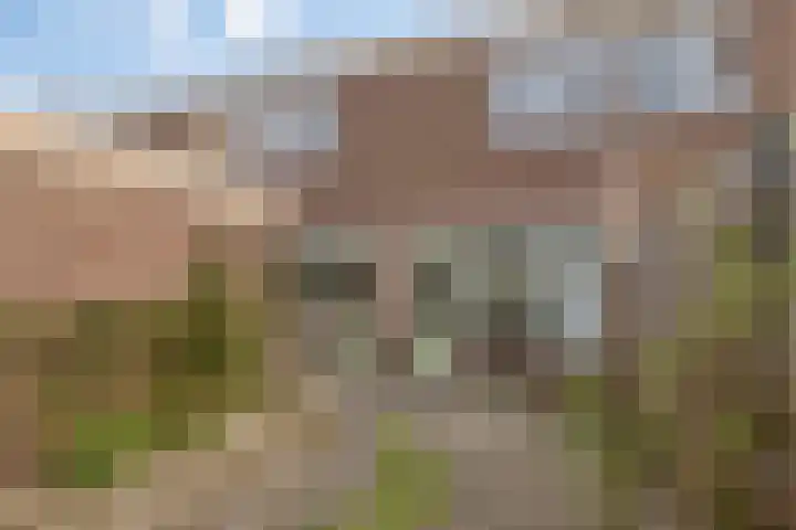 Remmersteinstraat 6 Nijmegen thumbnail 22