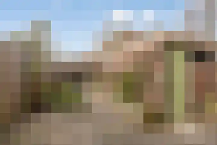 Remmersteinstraat 6 Nijmegen thumbnail 24
