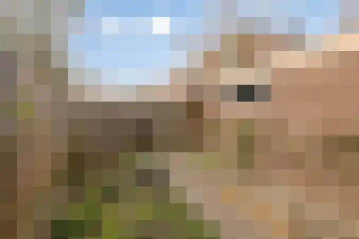 Remmersteinstraat 6 Nijmegen thumbnail 25
