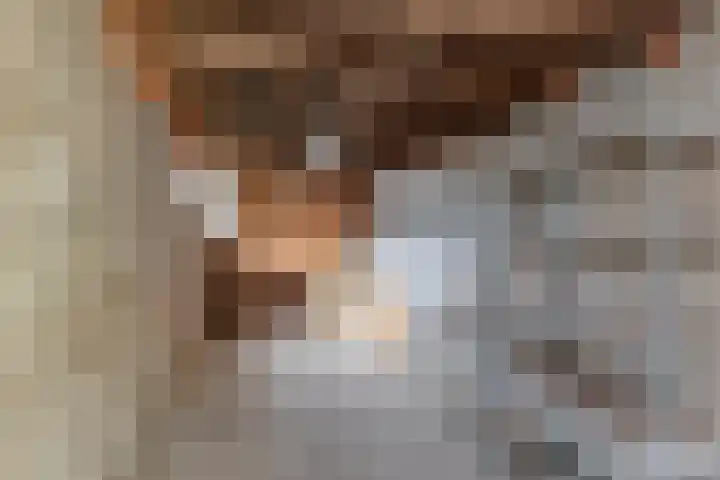 Remmersteinstraat 6 Nijmegen thumbnail 26