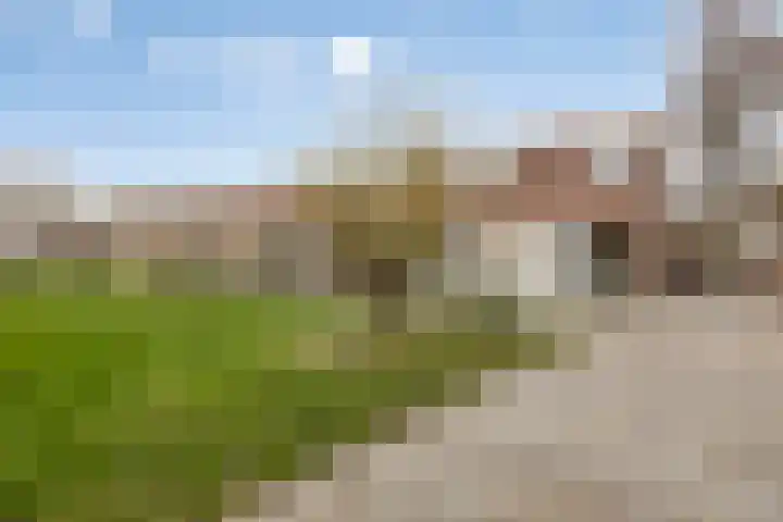Remmersteinstraat 6 Nijmegen thumbnail 28