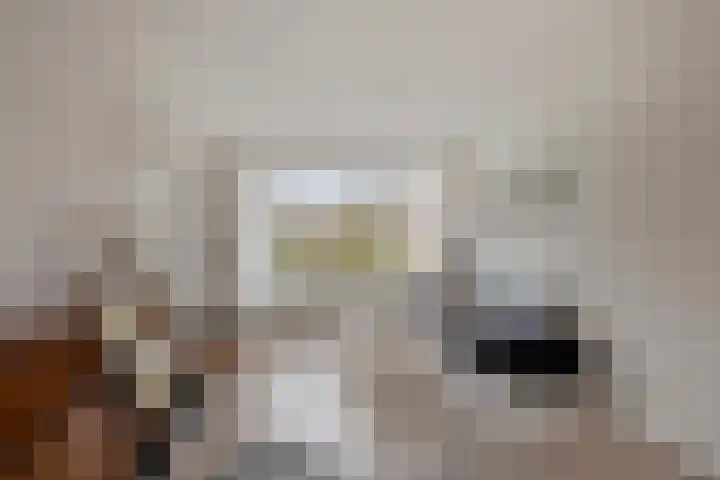 Remmersteinstraat 6 Nijmegen thumbnail 6