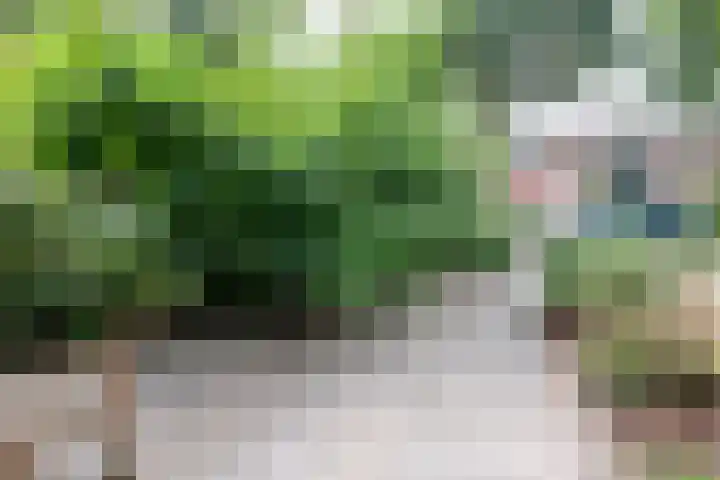 Remmingaweg 22 Haren Gn thumbnail 10