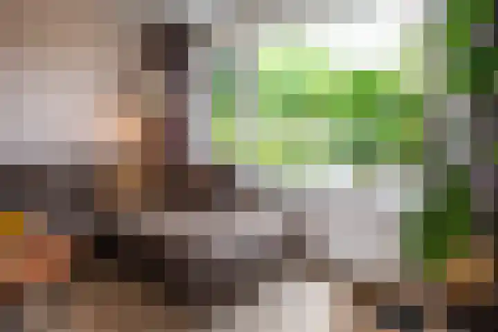 Remmingaweg 22 Haren Gn thumbnail 18