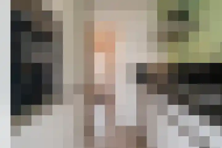 Remmingaweg 22 Haren Gn thumbnail 24