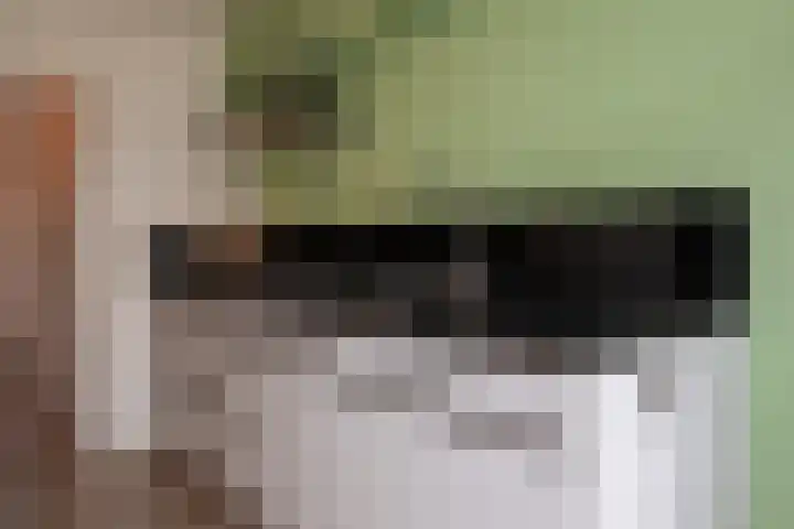 Remmingaweg 22 Haren Gn thumbnail 25