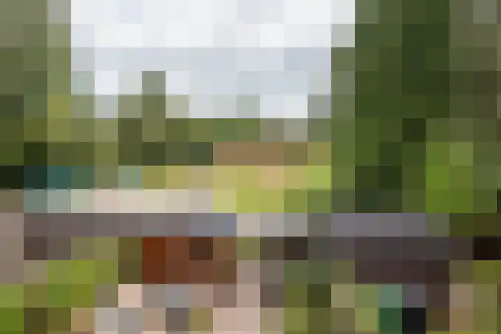 Remmingaweg 22 Haren Gn thumbnail 38