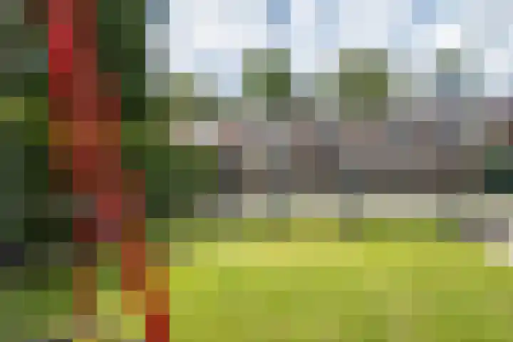 Remmingaweg 22 Haren Gn thumbnail 39