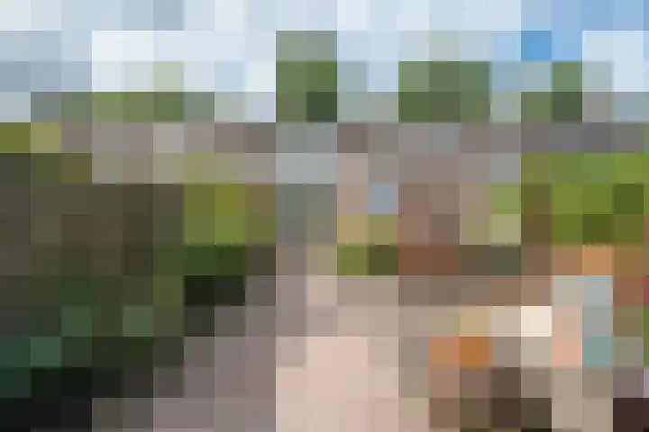 Remmingaweg 22 Haren Gn thumbnail 41