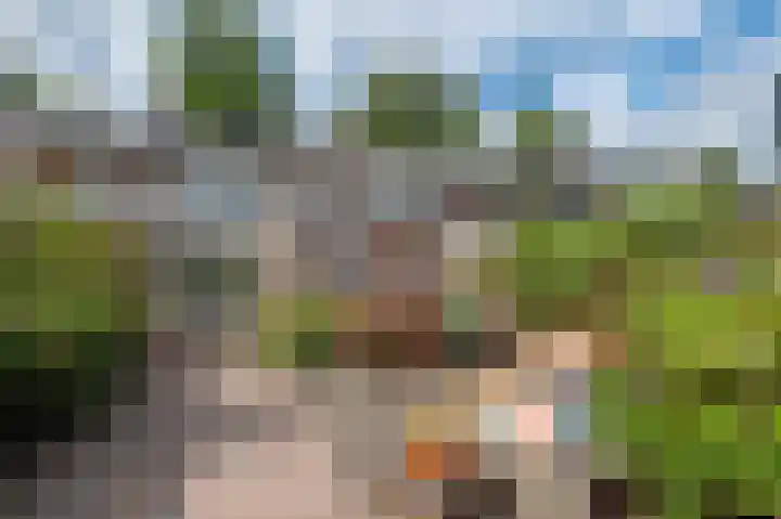 Remmingaweg 22 Haren Gn thumbnail 42