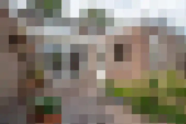 Remmingaweg 22 Haren Gn thumbnail 43