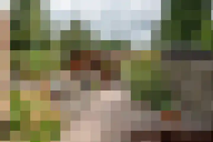 Remmingaweg 22 Haren Gn thumbnail 44