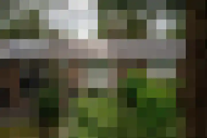 Remmingaweg 22 Haren Gn thumbnail 5