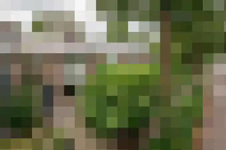 Remmingaweg 22 Haren Gn thumbnail 51