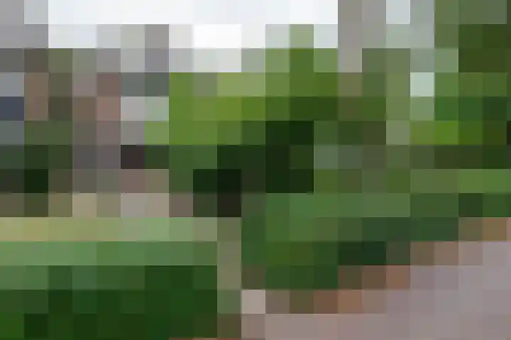 Remmingaweg 22 Haren Gn thumbnail 6