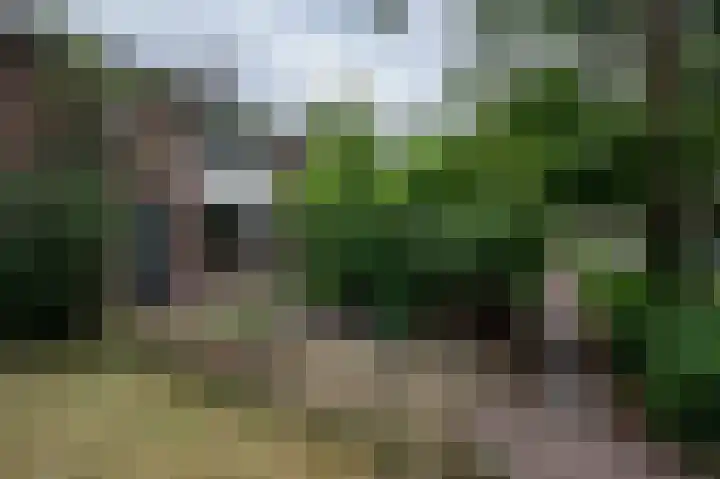 Remmingaweg 22 Haren Gn thumbnail 8
