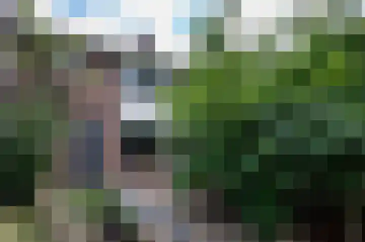 Remmingaweg 22 Haren Gn thumbnail 9