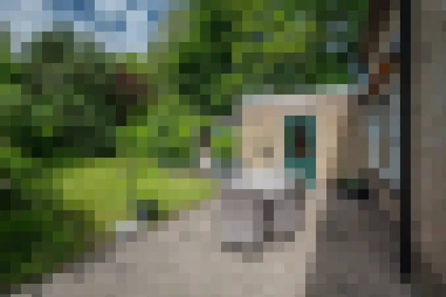 Remmingaweg 31 Haren Gn thumbnail 38